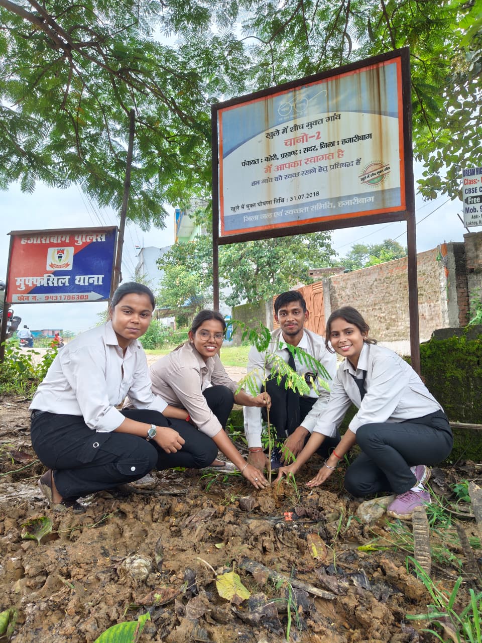 Tree Plantation